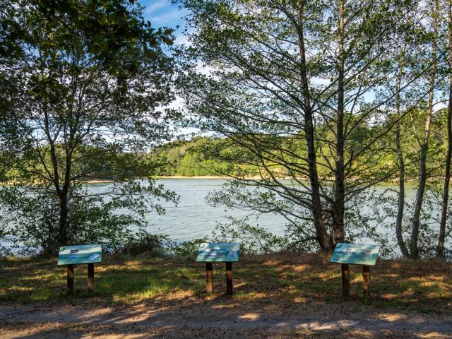 Sentier d'interprétation Etang de la Pouge