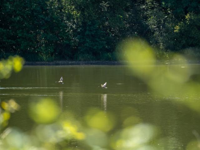 Etang De La Pouge Photo Tolga Sarikose Departement De La Haute Vienne