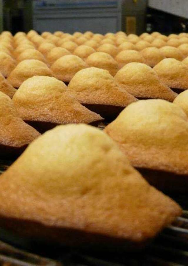 Madeleines Bijou Entreprise Et Decouverte 1