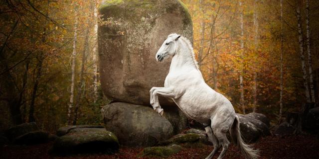 Cheval, La Pierre Branlante à Cieux