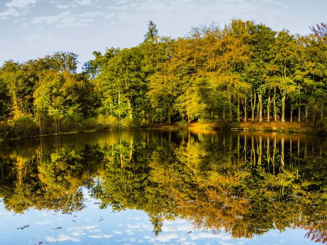 Étang des Landes à Saint Paul en Limousin