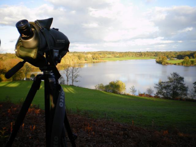 Etang Du Murat - Saint Léger Magnazeix