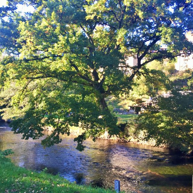 La Vienne, à Eymoutiers