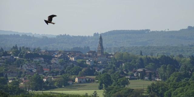 Vue sur la cité médiévale de Saint Léonard de Noblat depuis la campagne survolée par un rapace