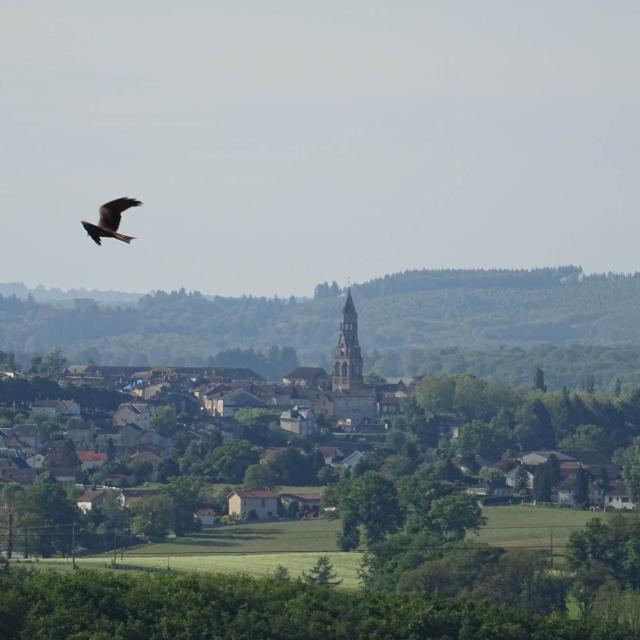 Vue sur la cité médiévale de Saint Léonard de Noblat depuis la campagne survolée par un rapace