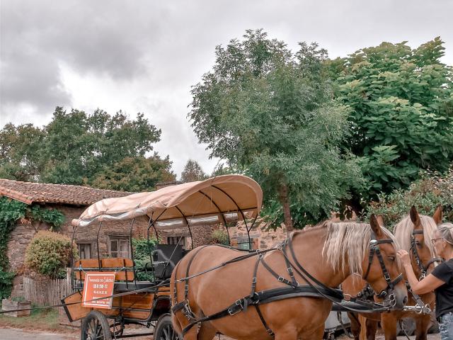 Isop Caleche Chevaux Limousin