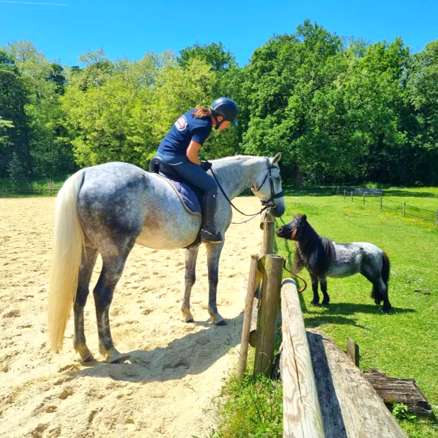 Le Haras du Parc - Nexon