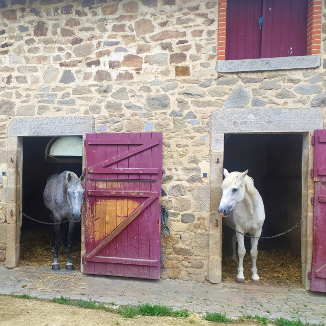 Écuries - le haras du parc - Nexon