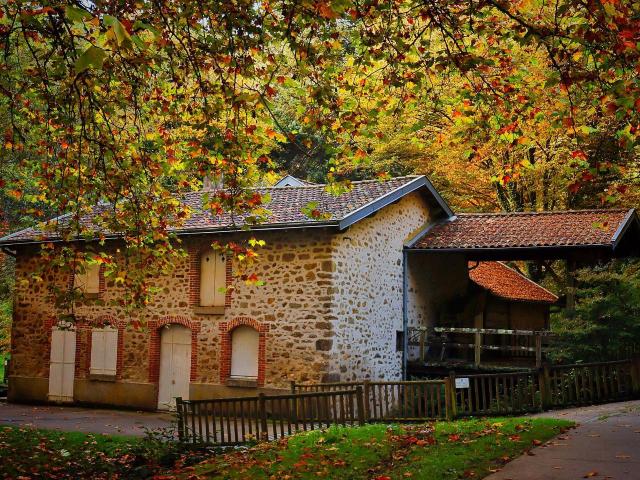 Parc de l'Aurence à Limoges - Moulin Pinard