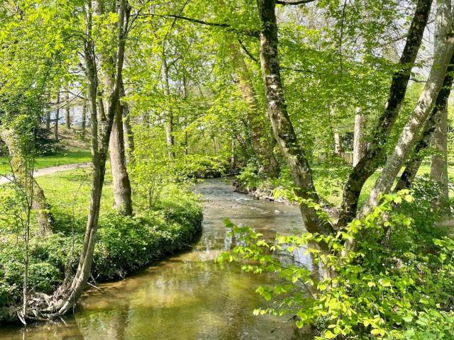 Parc de l'Auzette à Limoges