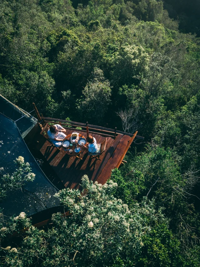 Couple Sur La Terrasse Dune Cabane Dans La Foret