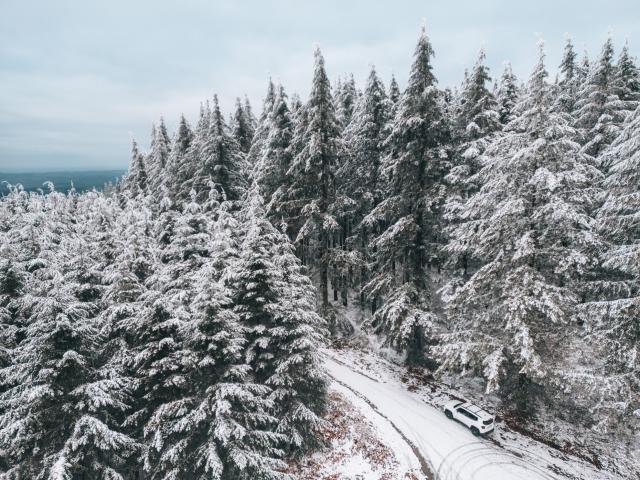 Hiver En Haute Vienne