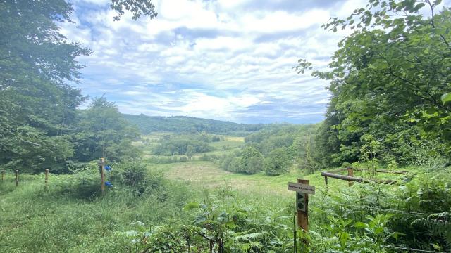 Tourbiere Des Dauges