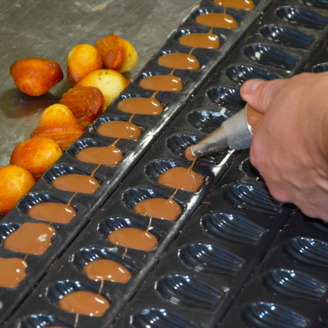 Pochage Du Chocolat Lait Madeleines Bebe