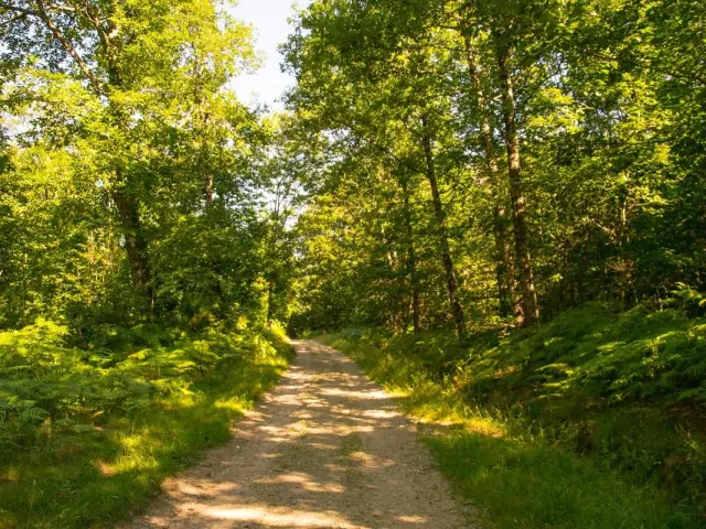 Sentier La Croix Du Loup St Priest Sous Aixe