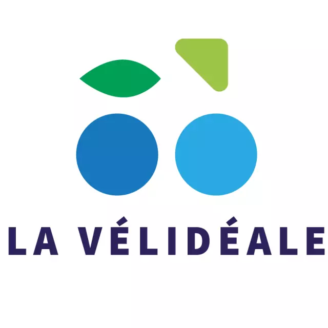 Velideale Logo