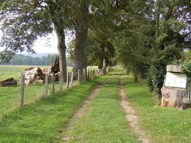 Chemin Des Ecoliers Jourgnac