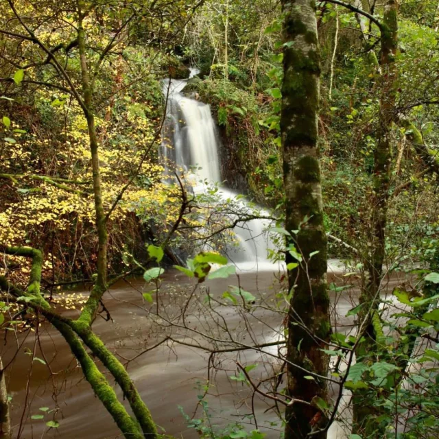 Cascade Du Rimauri