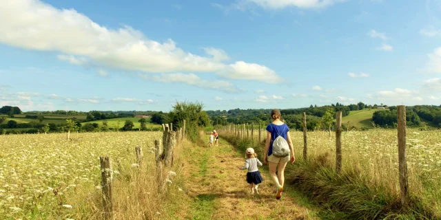 Randonnée sur les chemins de randonnée de Saint-Germain- Les-Belles, été 2023, Communauté de Communes Briance Sud Haute Vienne, Haute - Vienne, France.