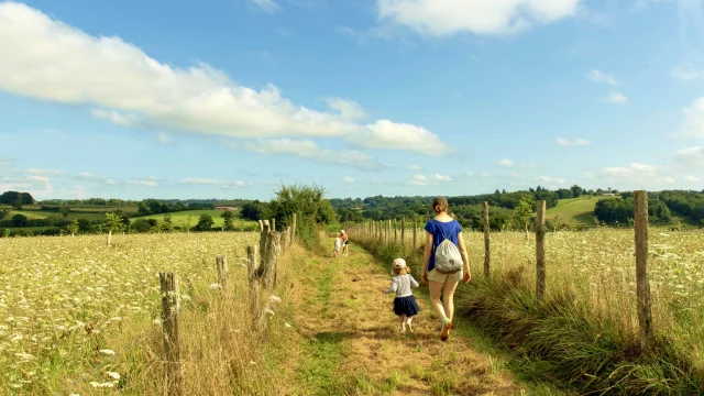 Randonnée sur les chemins de randonnée de Saint-Germain- Les-Belles, été 2023, Communauté de Communes Briance Sud Haute Vienne, Haute - Vienne, France.