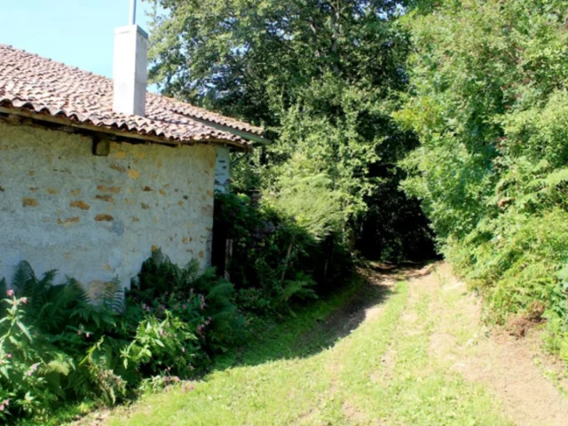 Sentier de randonnée à Champagnac-la-Rivière