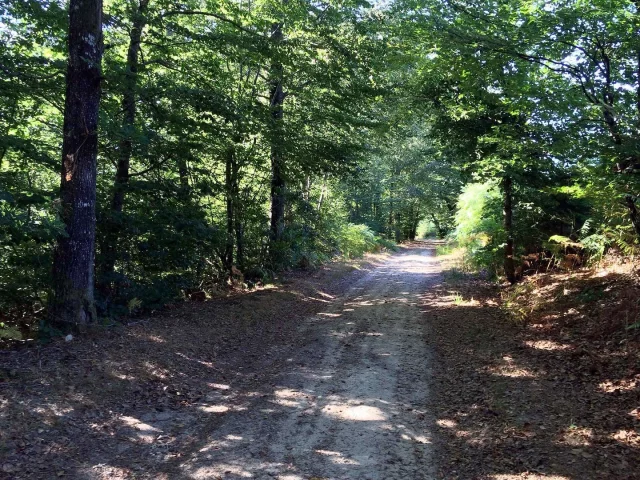 Sentier Des Demoiselles