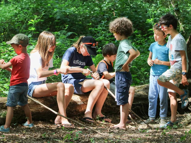 Activites Enfants Nature