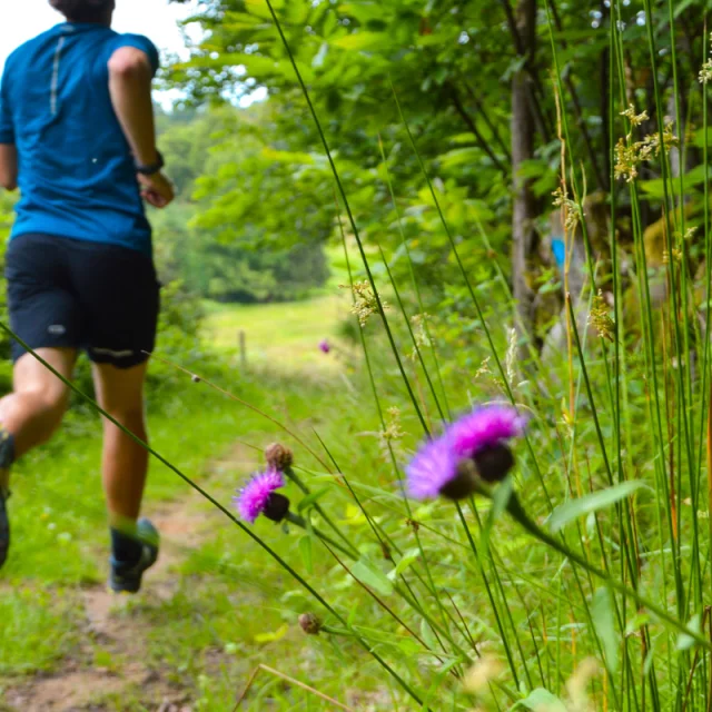 Base Uni Vert Trail En Pays De Nexon Monts De Chalus