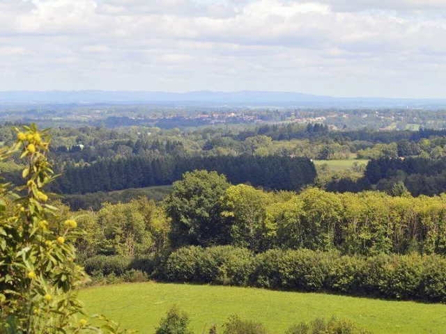 Chemin des Hautes Forêts