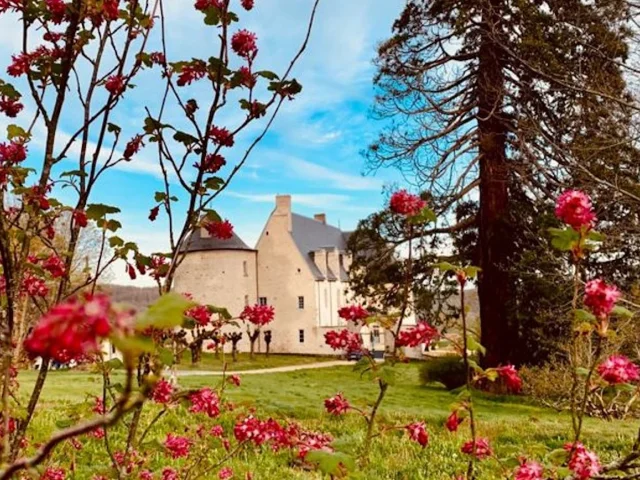 Château du Chambon vue fleurie