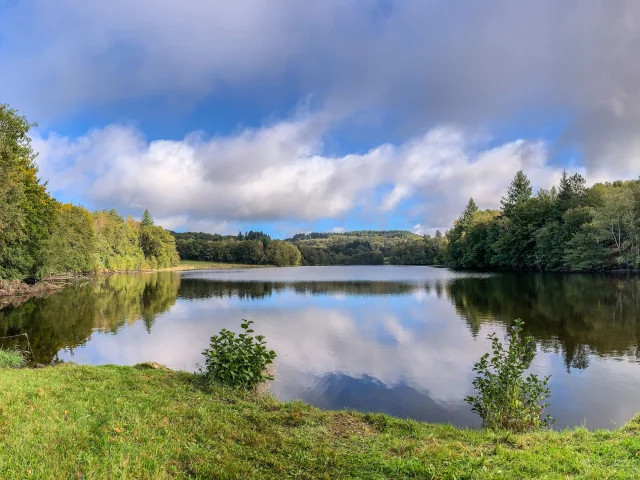 Etang Rénier, spot de pêche du brochet en Limousin