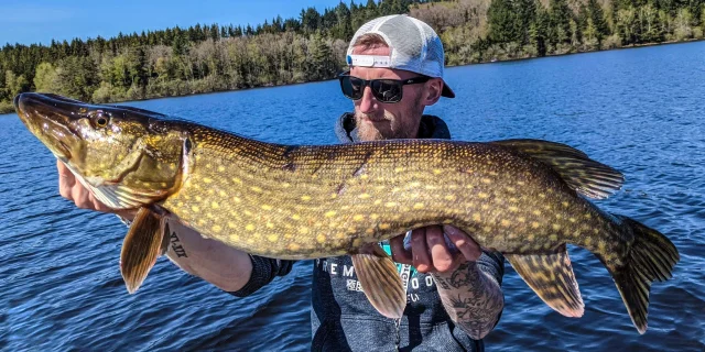 Pêcher le brochet en Limousin