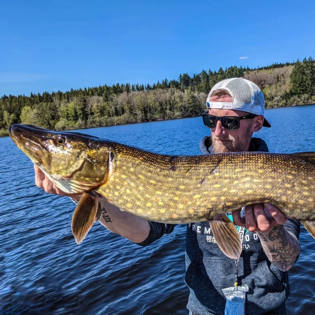 Pêcher le brochet en Limousin