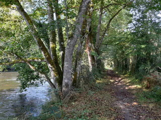 Randonnée de Brignac au Moulin du Got le long de la Vienne