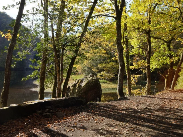 Les rives du Taurion sur la randonnée La Boucle du Parleur à Saint-Martin-Terressus