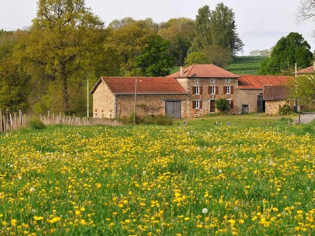 Sentier De Laubepine