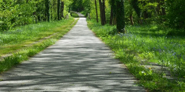 Voie Verte des Hauts De Tardoire