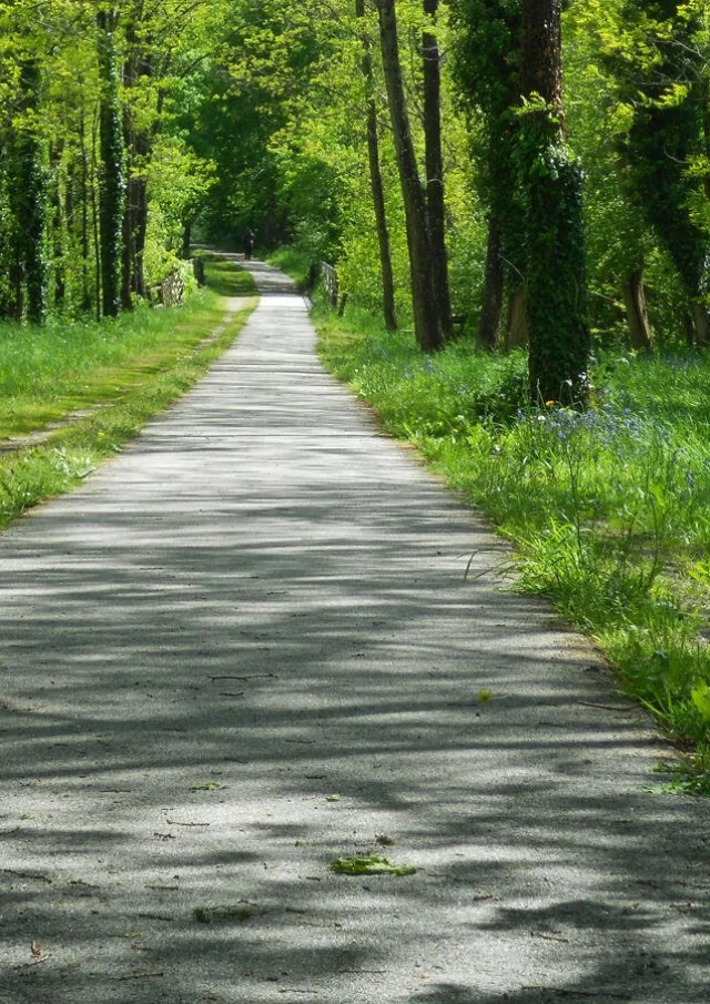 Voie Verte des Hauts De Tardoire