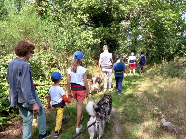 Cani-rando Hautlimousin