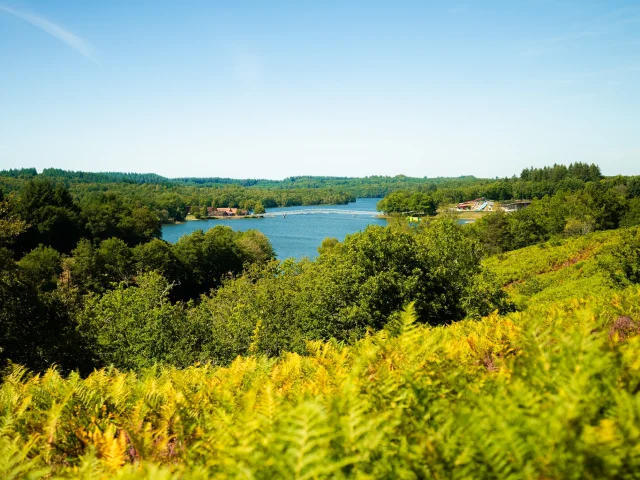 Lac De Saint Pardoux