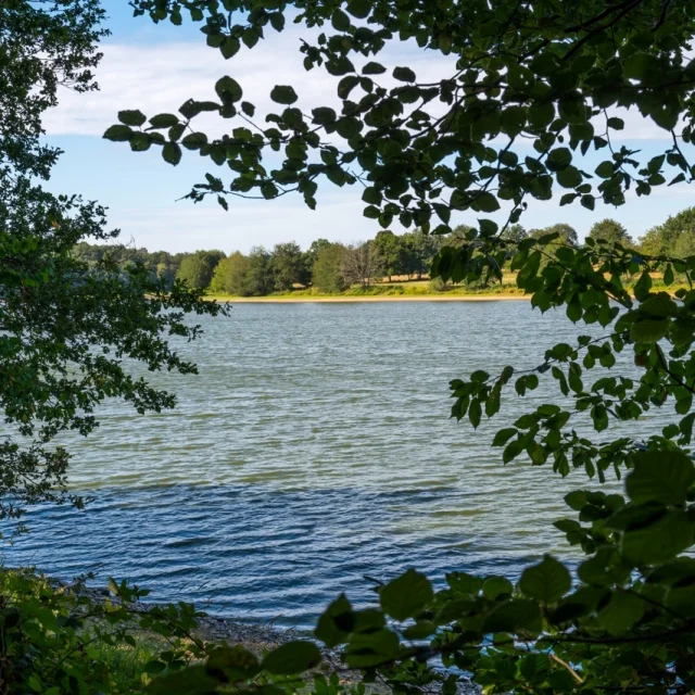 Etang De La Pouge Credit Jcdupuy Departement De La Haute Vienne Web