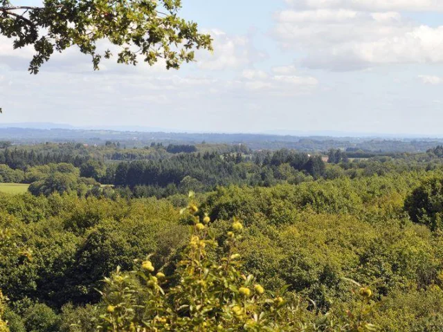 Chemin Des Hautes Forets Randonnee Limousin