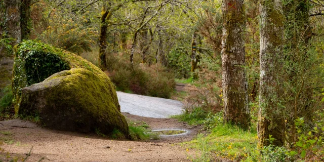 Circuit Des Megalithes Randonnee Limousin