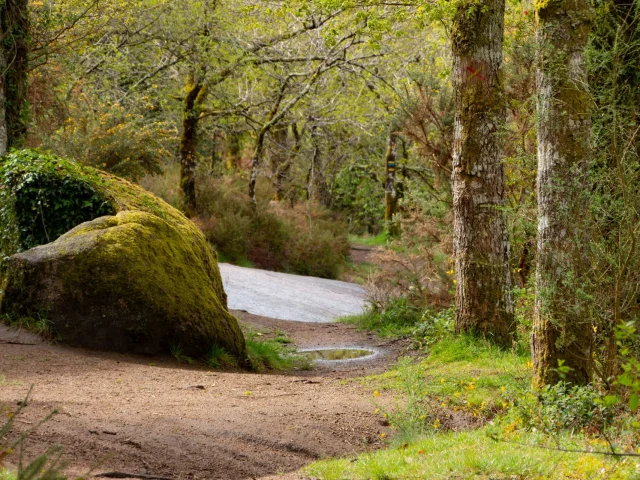 Circuit Des Megalithes Randonnee Limousin