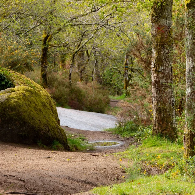 Circuit Des Megalithes Randonnee Limousin