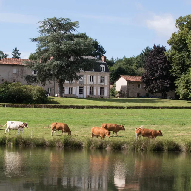 Le Masbareau, hébergement de standing en Limousin