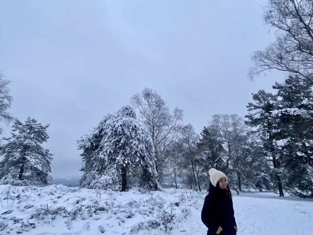 Randonnee Au Mont Gargan En Hiver Limousin