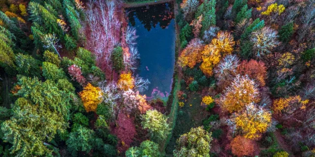 Aroboretum la Jonchère - week-end entre amis haute vienne