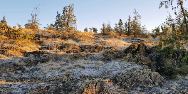 Bien-être et détente à Noël : randonnée dans les landes serpentinicoles