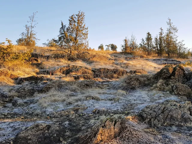 Bien-être et détente à Noël : randonnée dans les landes serpentinicoles